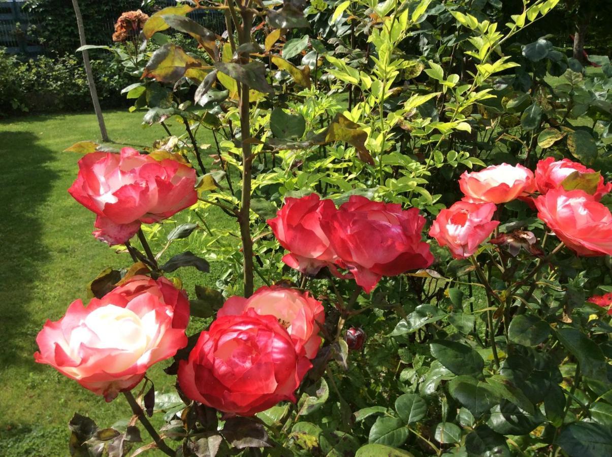 Bed & Breakfast Les D'oriane 4*